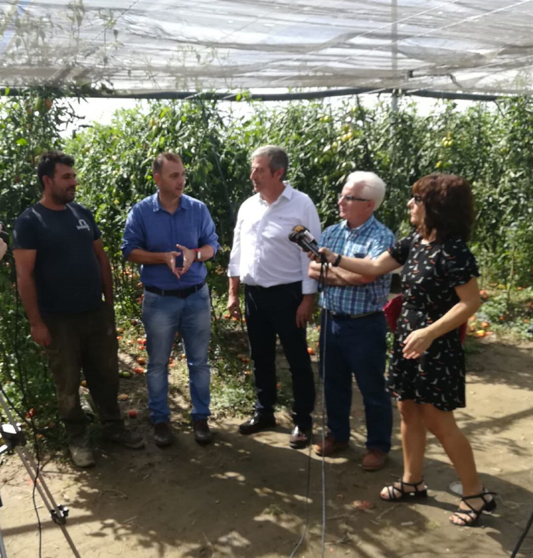 visita a una explotación agricola de Benalúa afectada por las tormentas.