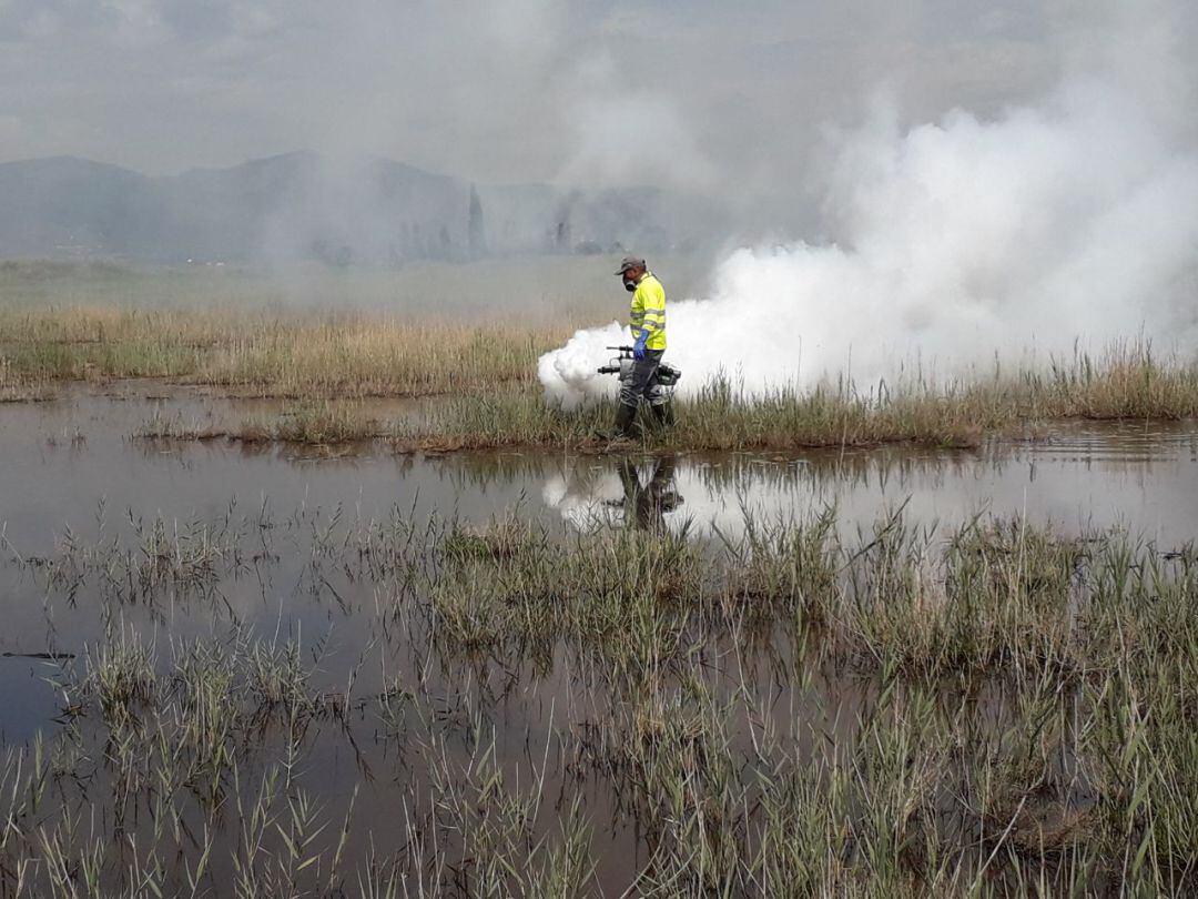 Imagen de archivo. Fumigación antimosquitos