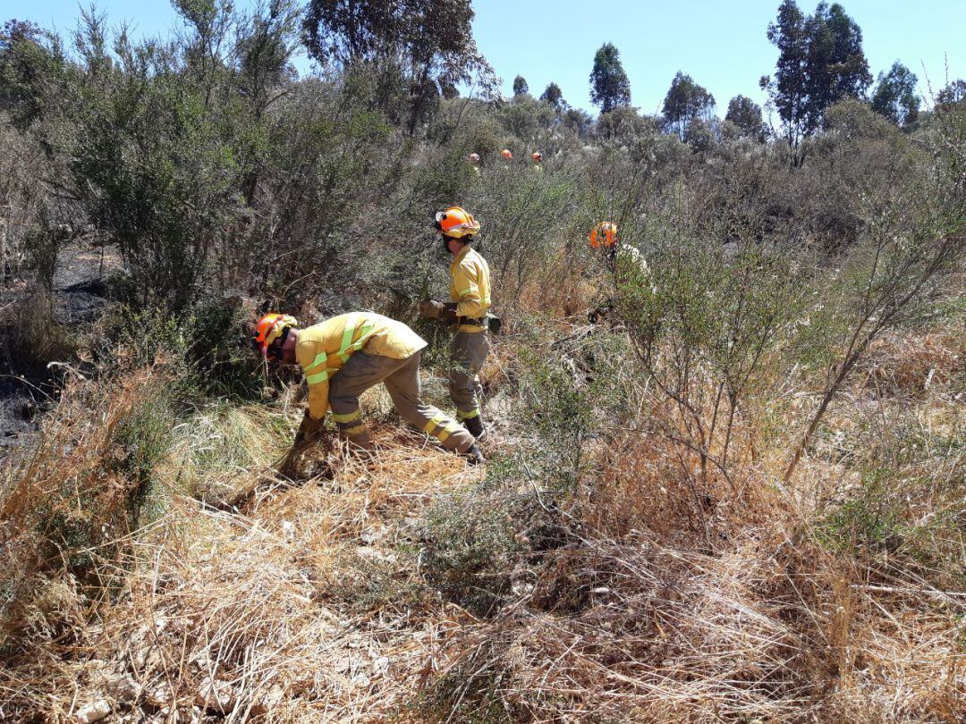 Bomberos foestales del Infoex trabajando durante un incendio