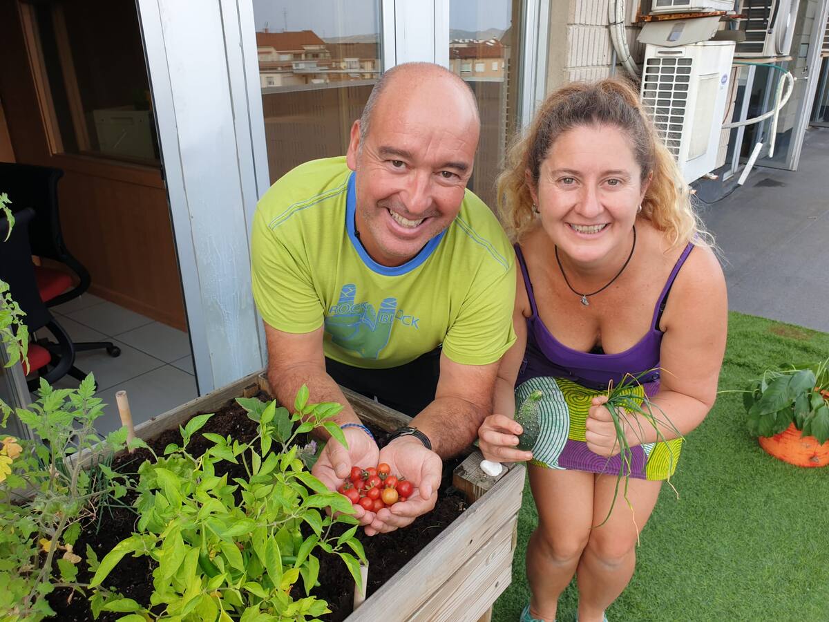 La SER te lleva al huerto: Cosechamos pepinos y tomates.