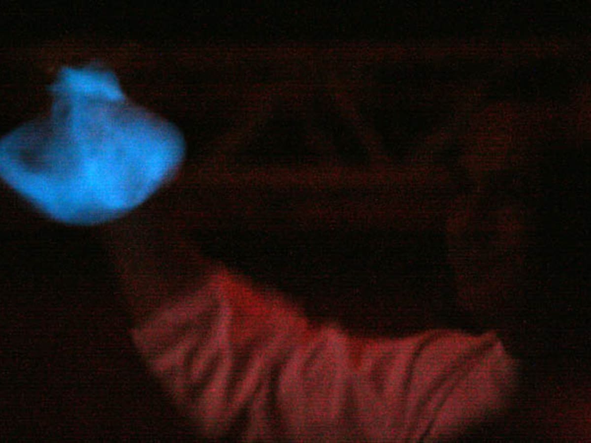 Nómada del viento: ¿Por qué hay especies que desprenden luz en el agua? (18/03/2025)