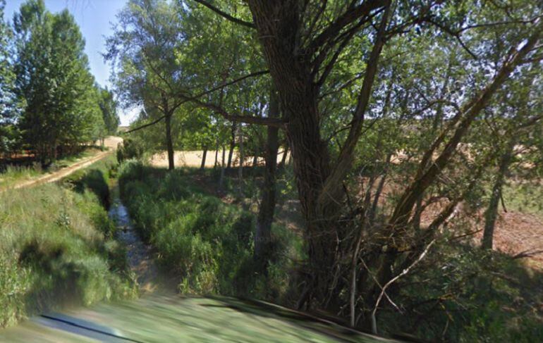 Zona de regadío en el término municipal de Araúzo de Torre