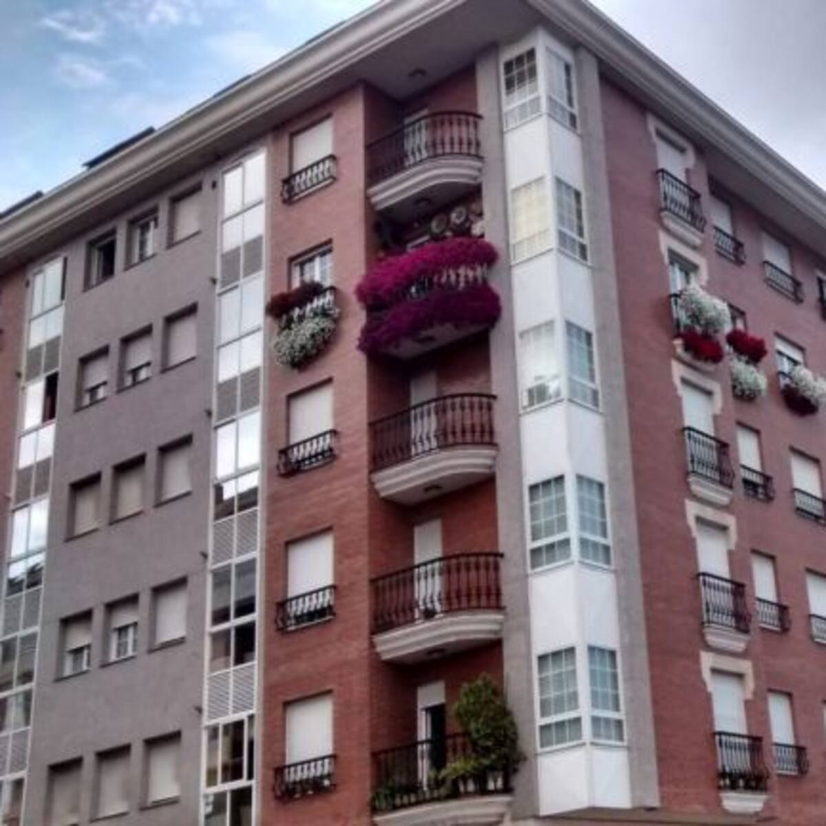Un piso de la calle Orellán, primer premio del concurso de ornamento floral
