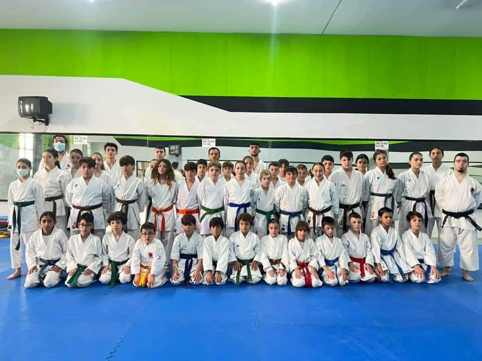 Cursos llevados a cabo por la Delegacion Gaditana de karate