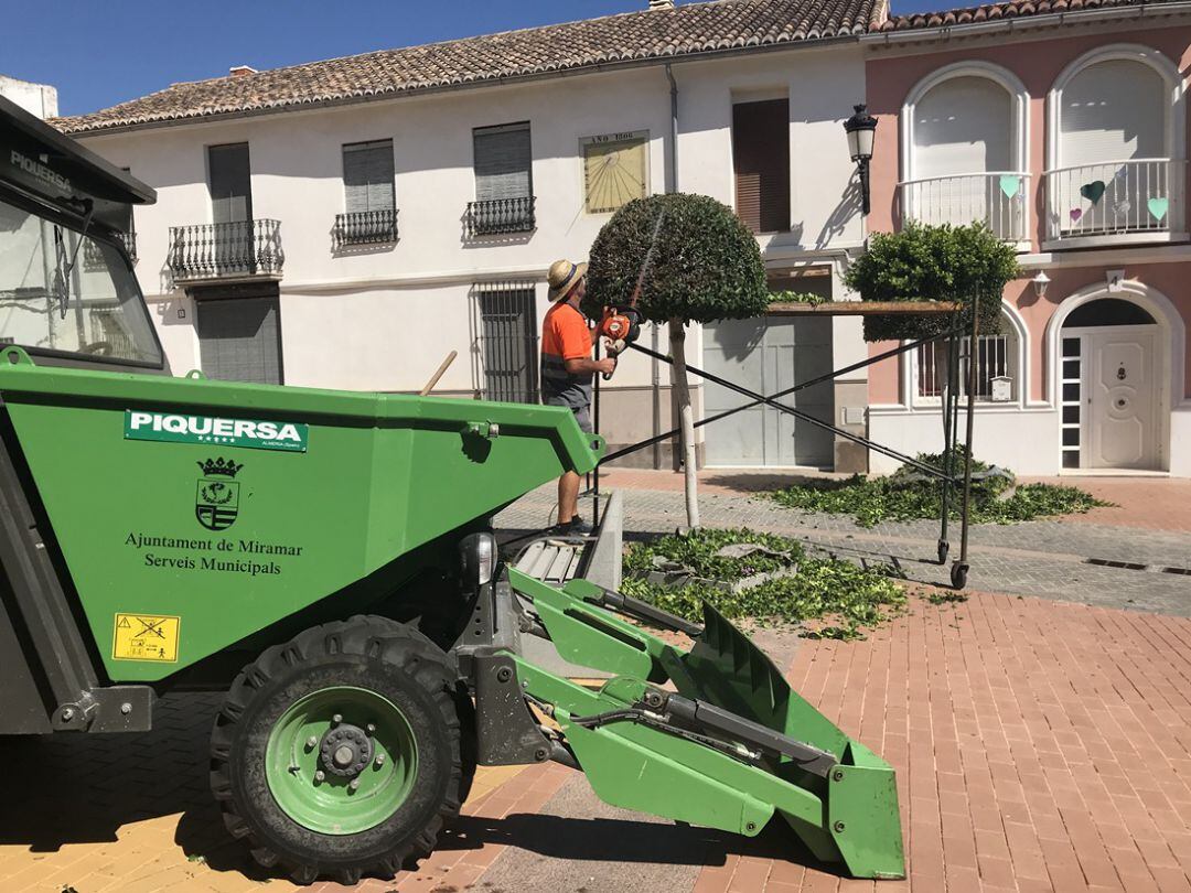 Un trabajador municipal dn Miramar 