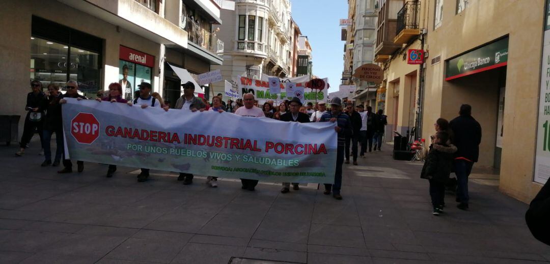 Marcha contra las macrogranjas a su paso por la Calle de Santa Clara de la capital