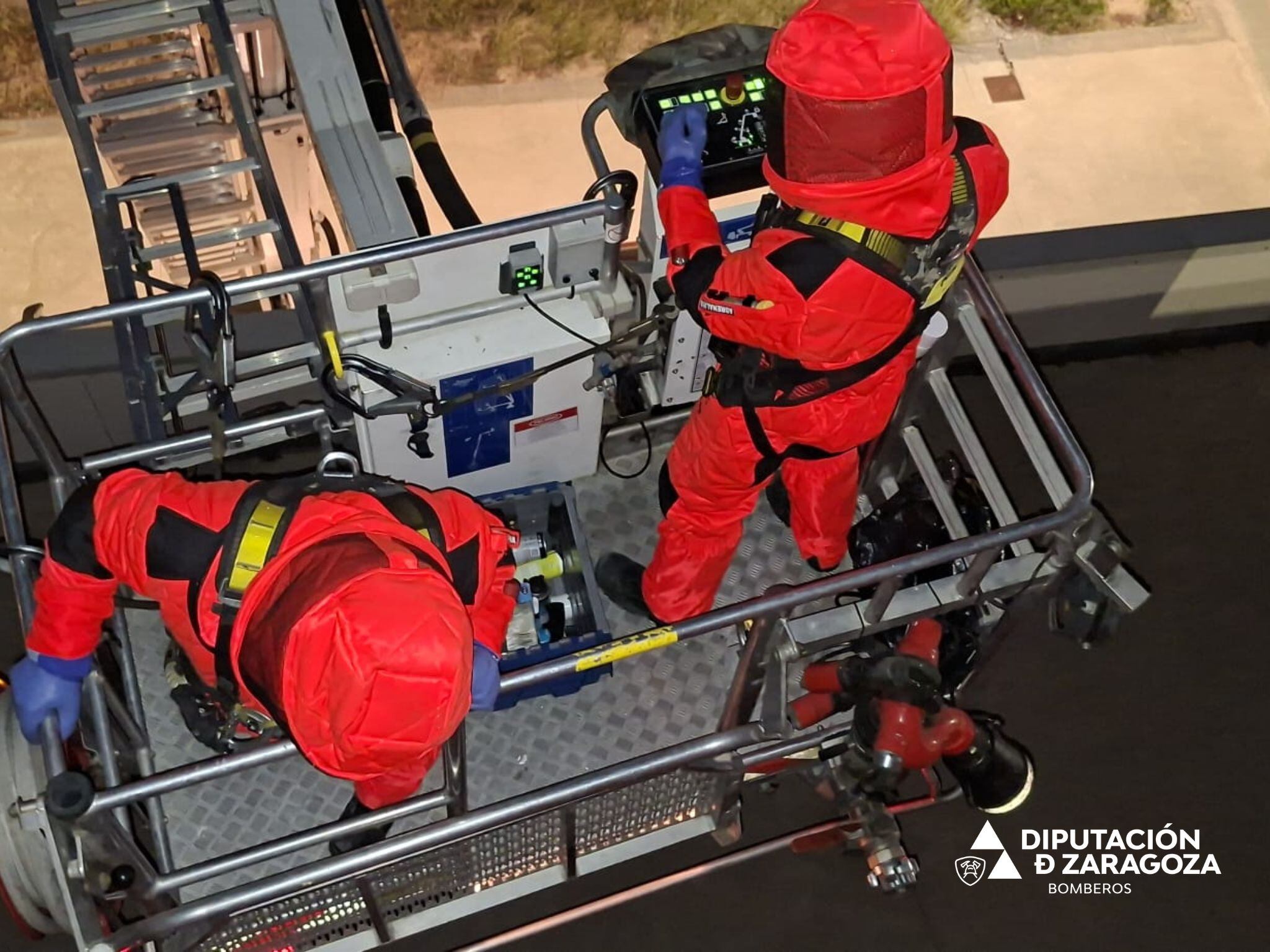 Retirado un nido de avispa asiática en Borja (Zaragoza