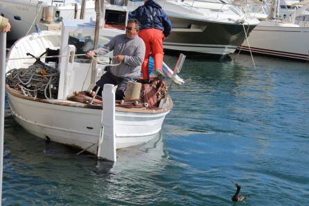 Una imagen de la llegada al puerto de un pescador en la feria del año pasado