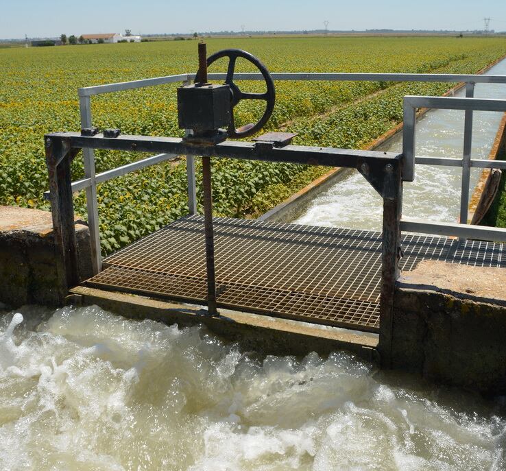 El proyecto de regadío de Tierra de Barros contará con una partida de 20 millones en los presupuestos de 2025