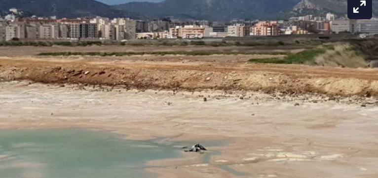 Balsas de la antigua Española del Zinc en Torreciega