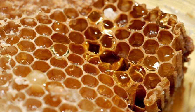 El pròpolis és una substància natural elaborada per les abelles, amb propietats antisèptiques, antivirals i antiinflamatòries