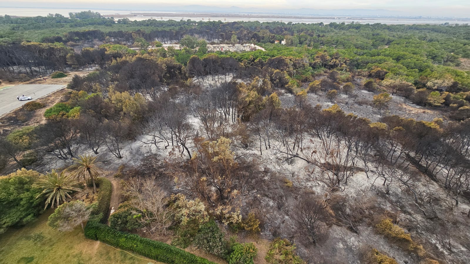 Consecuencias del incendio del Saler