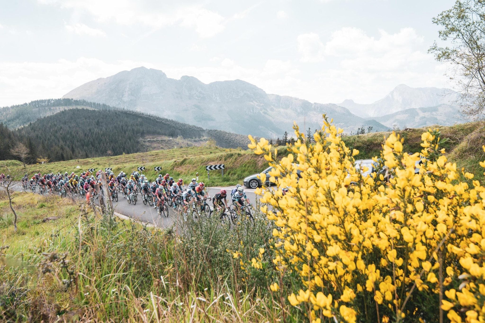 El pelotón de la Itzulia, durante una etapa de su edición de 2025