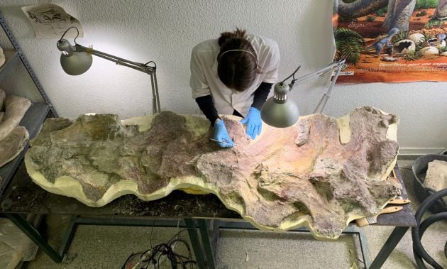 Preparación de parte del cuello de un dinosaurio de Lo Hueco.