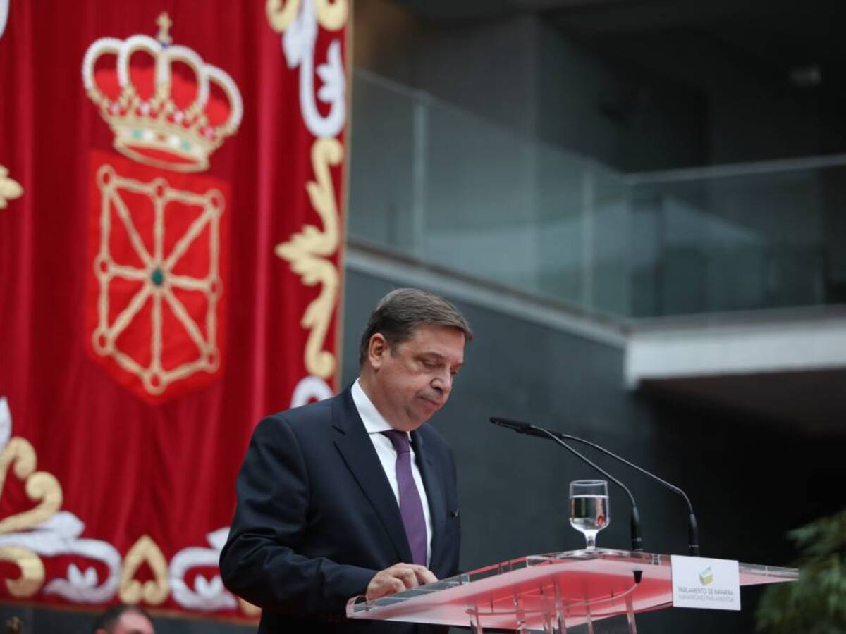 ASAJA Tomelloso celebrará este lunes la 35 edición del 'Día del Viticultor'