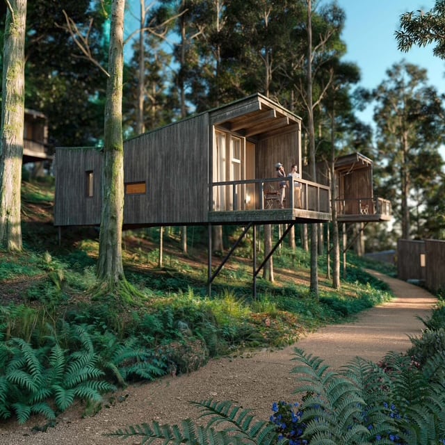 Cabañas proyectadas en las cercanías del Pazo de Cea en Nigrán