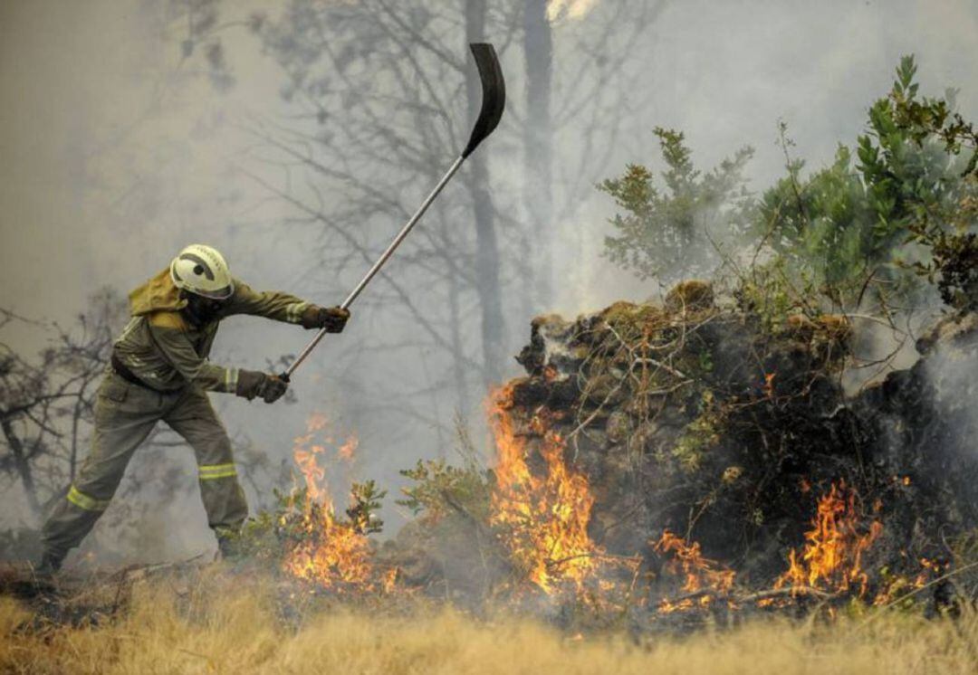 Brigadista en un incendio