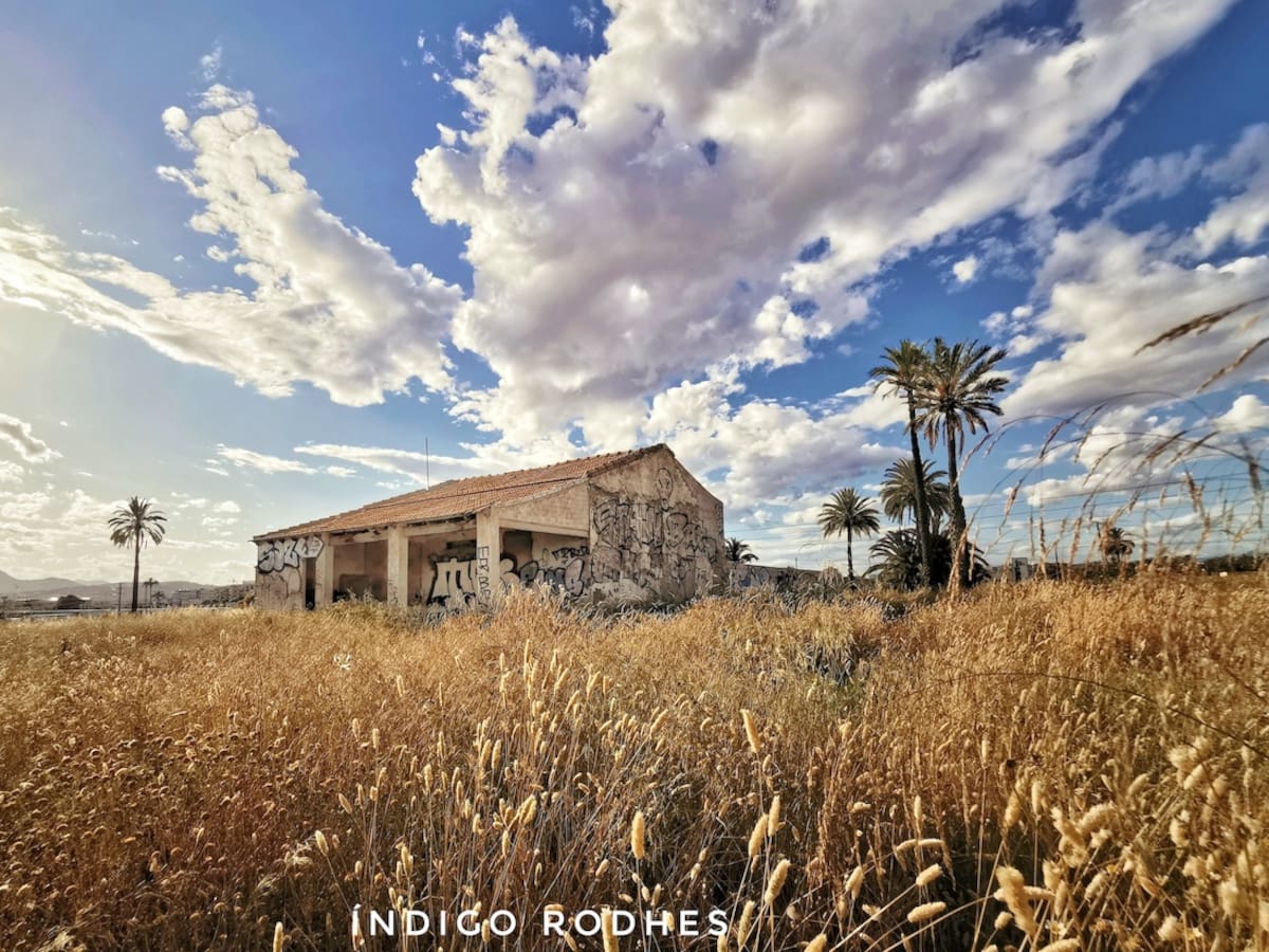 Recta final para la entrada en vigor de la ordenanza que regulará el Camp d'Elx