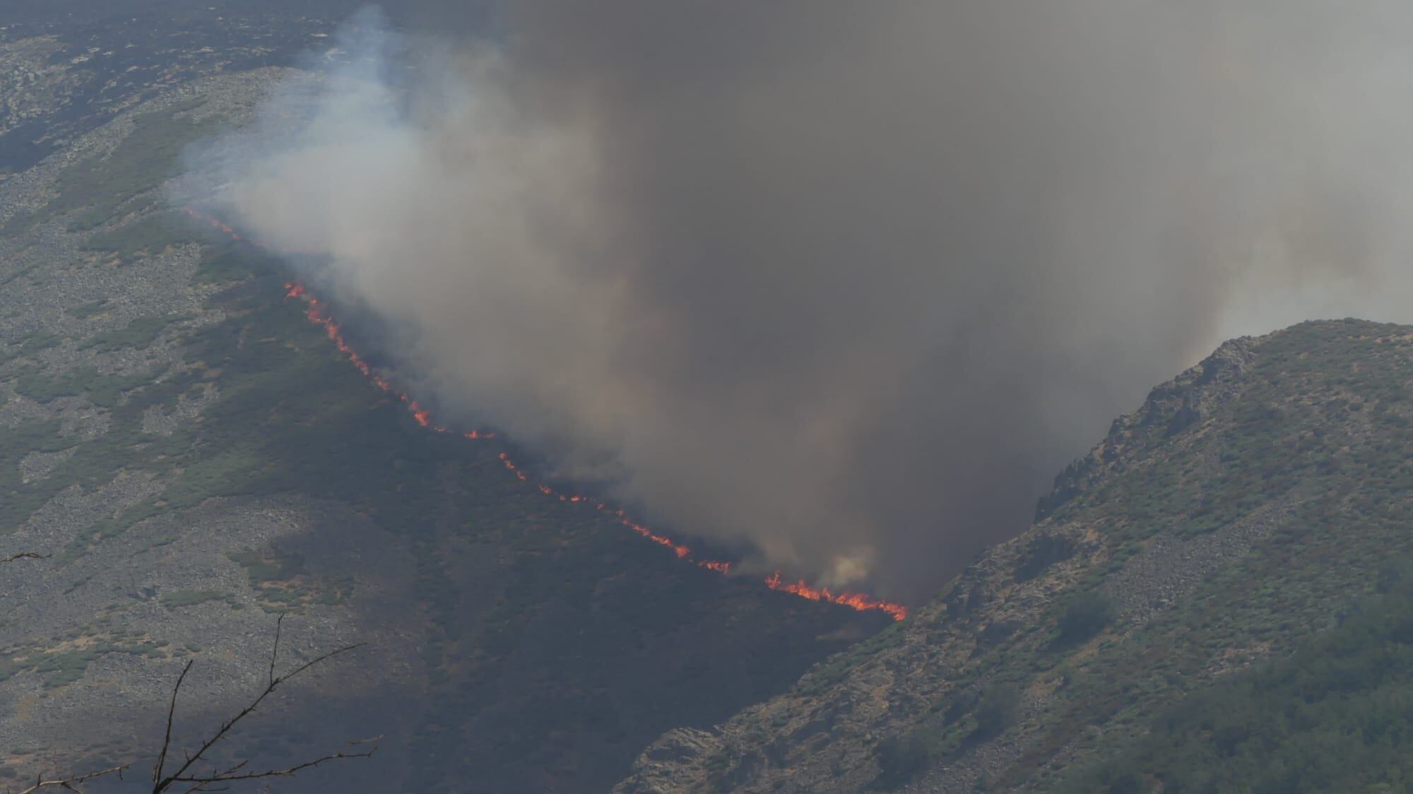 Lengua de fuego en sierra Llana, Navalonguilla