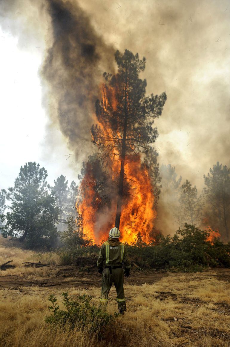 GRA121. OURENSE, 11/08/2015.- Un brigadista realiza labores de extinción ante el incendio forestal registrado en el ayuntamiento de Ourense, parroquia de Castro de Beiro, que está activo desde las 00:10 horas de esta pasada madrugada. Según estimaciones provisionales, la superficie afectada está alrededor de 30 hectáreas y en los trabajos de control participan desde su inicio 6 agentes forestales, 16 brigadas, 10 motobombas, 1 pala, 5 helicópteros y 1 avión. EFE/Brais Lorenzo