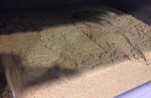 De les olives premsades se'n filtra l'oli.