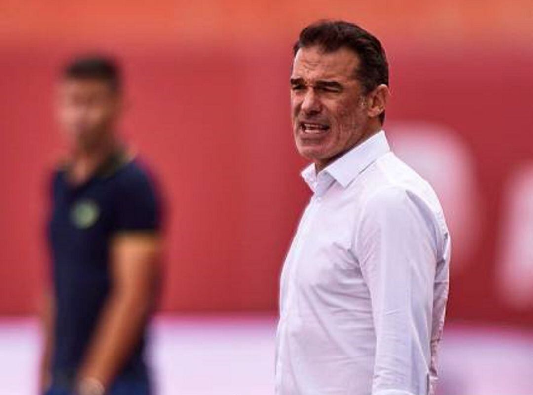 Luis García Plaza, entrenador del RCD Mallorca.