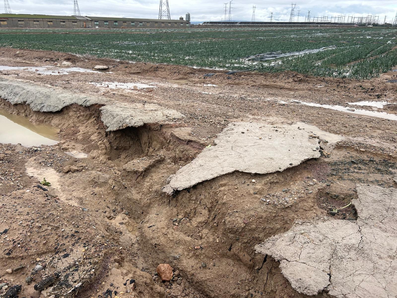 Un campo de cultivo de Totana dañado por las fuertes lluvias