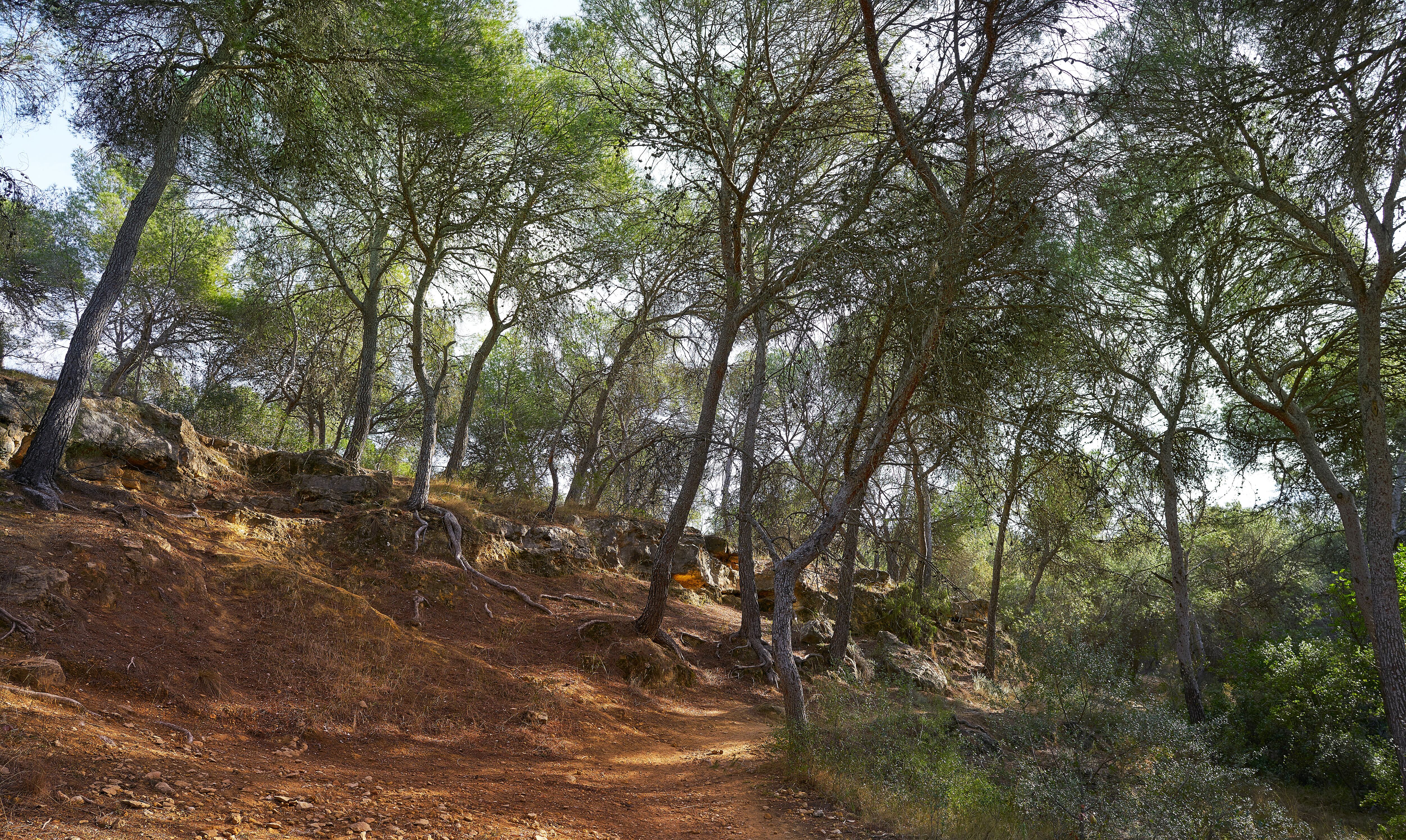 La Vallesa, en Paterna