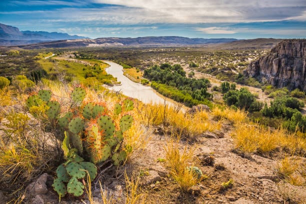 El Desierto de Chihuahua