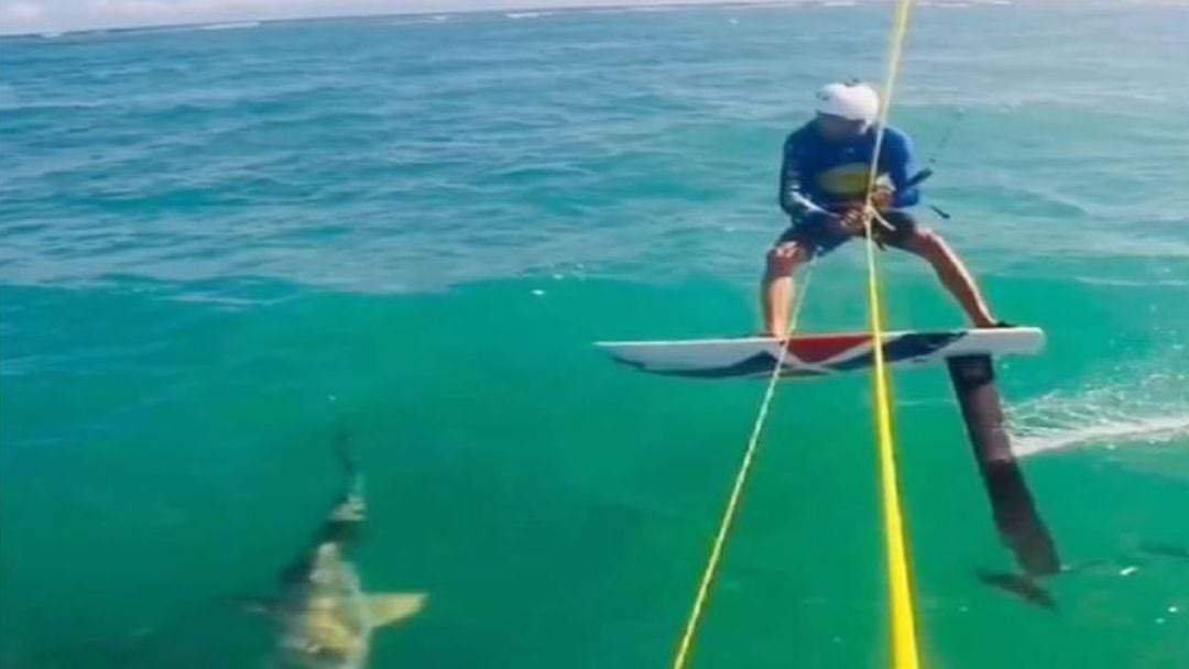 Momento previo al choque de Álex Soto con el tiburón