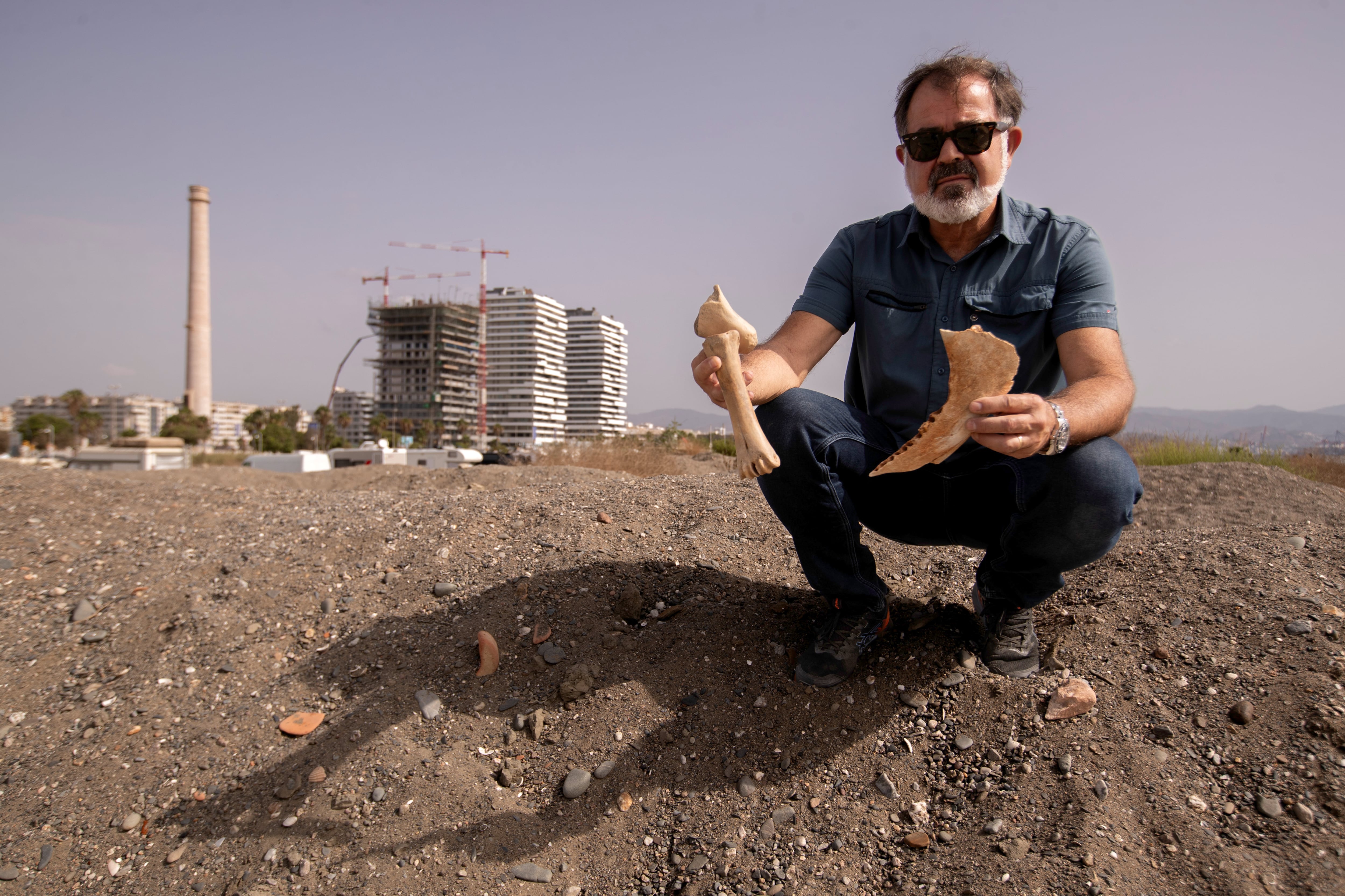 MÁLAGA, 01/09/2024.- El fotógrafo Juan María Álvarez, sobre una duna de la playa Sacaba, muestra unos restos óseos de animales del período Holoceno. Piedras talladas del Paleolítico, como puntas musterienses, raederas o denticulados, además de moluscos y restos óseos de animales del período Holoceno, son algunos de los cientos de vestigios prehistóricos que un vecino de Málaga ha hallado casualmente en unos montículos de arena depositada en la playa Sacaba. EFE/Jorge Zapata.
