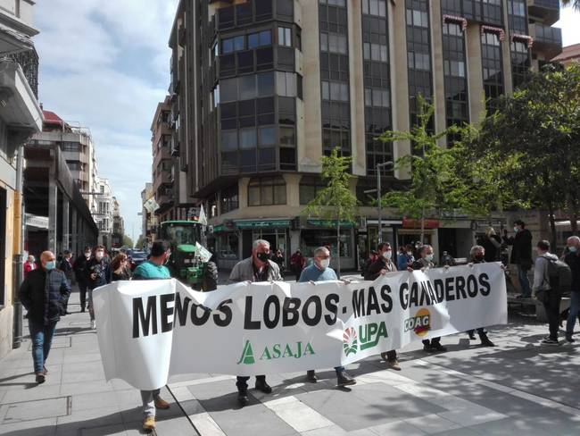 Manifestación de las organizaciones agrarias contra la prohibición de la caza del lobo