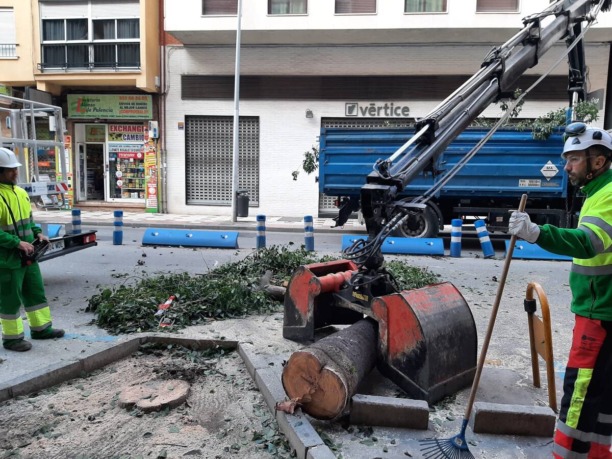 Málaga ya suma un centenar de incidencias por el temporal