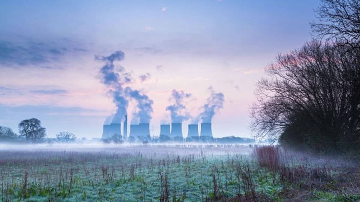 PDF 14 noviembre 2020