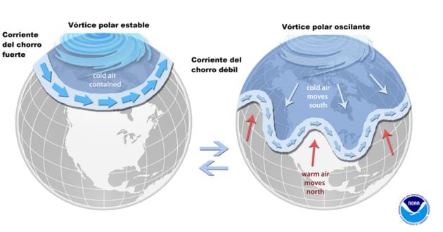 Figura 2. Diferencias entre la situación estable (izquierda) e inestable (derecha) del vórtice polar (vortex). El vórtice polar es una gran área de baja presión y aire frío que rodea ambos polos. En los vórtices, el flujo de aire en sentido contrario a las agujas del reloj ayuda a mantener el aire más frío cerca de los polos (globo izquierdo). Durante el invierno en el hemisferio norte y como consecuencia de la llamada ‘oscilación ártica’, el vórtice polar se vuelve menos estable y se expande, enviando aire frío del Ártico hacia el sur sobre los Estados Unidos mediante la denominada ‘corriente en chorro’ (derecha)