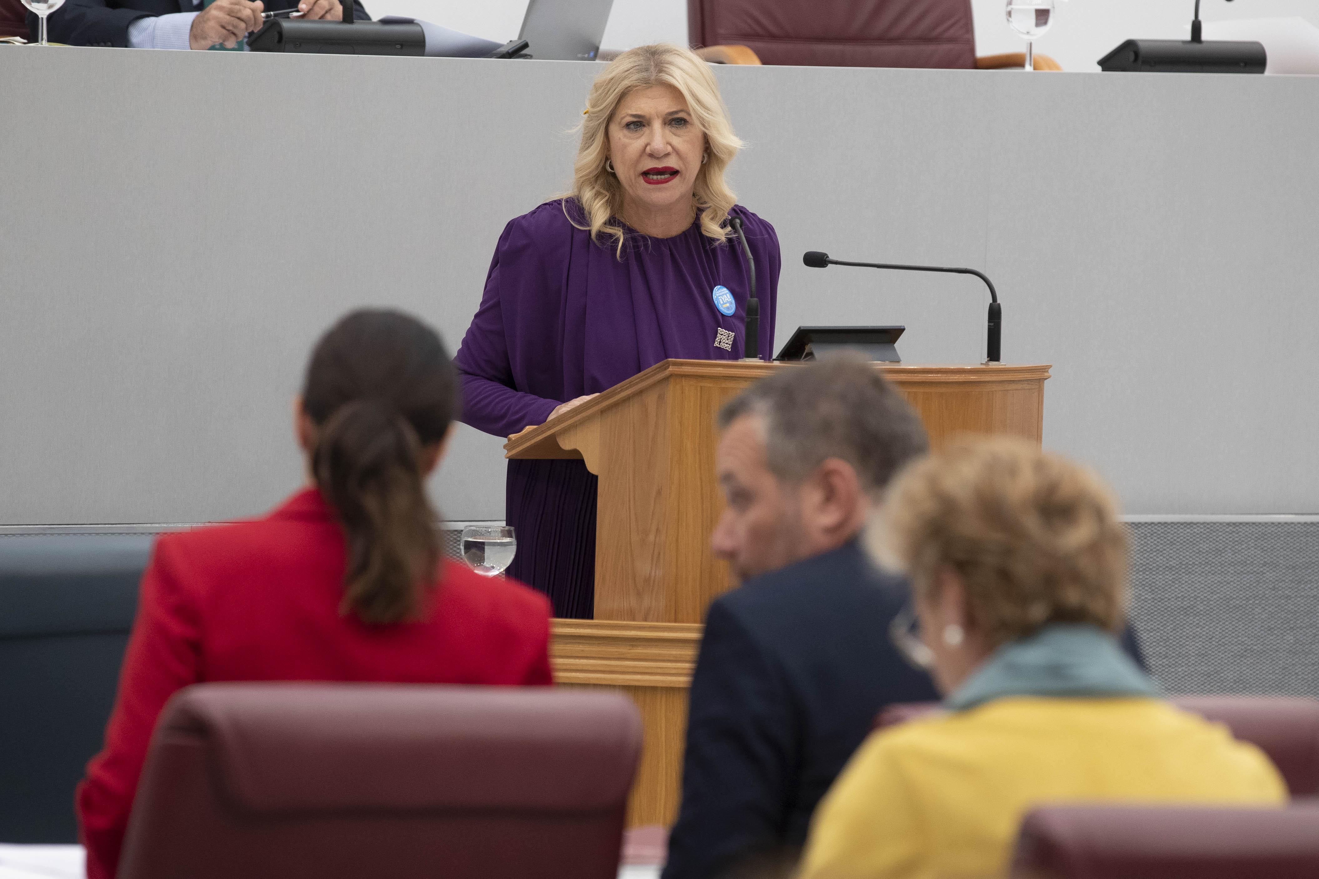 La diputada socialista, Gloria Alarcón, en su intervención en el Pleno de la Asamblea Regional