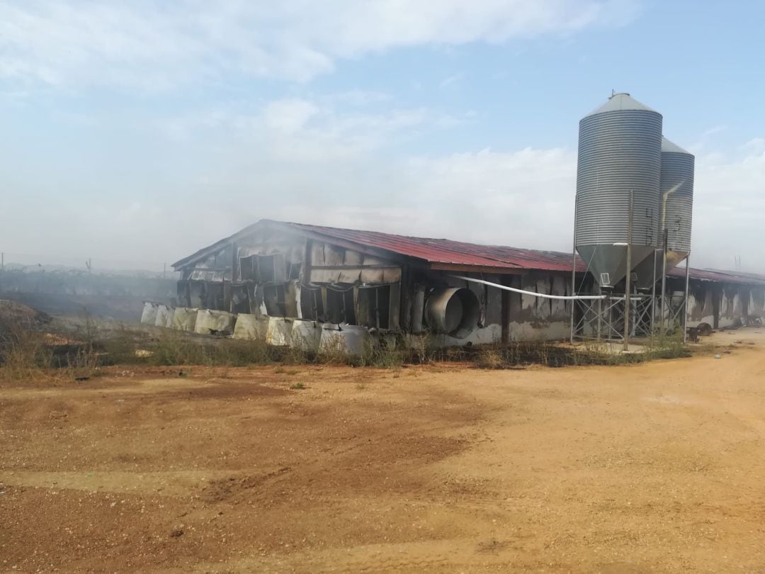 Unos 40.000 pollos calcinados en el incendio de esta nave agrícola en Villanueva de la Jara