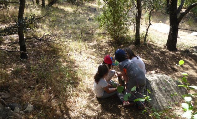 Alumnos de una escuela al aire libre.