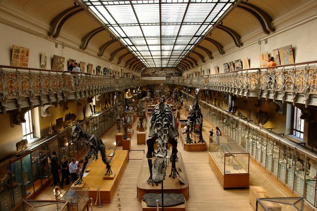 Museo de Historia Natural de París