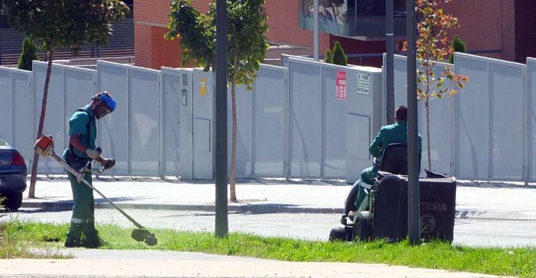 Trabajos de poda de las zonas verdes de Paracuellos de Jarama