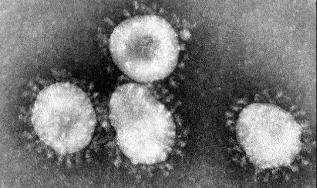 Aspecto del coronavirus