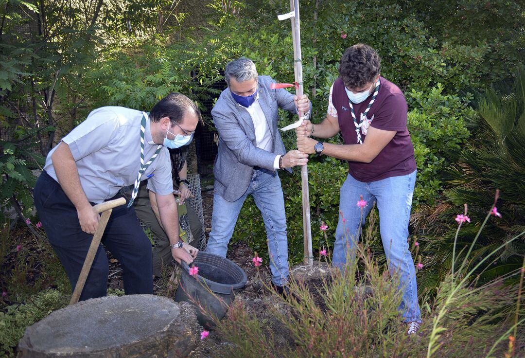 Plantación de árboles en el Zoobotánico de Jerez