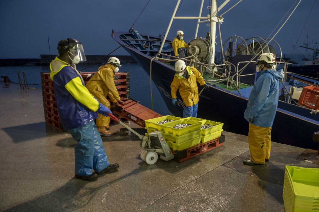 Pescadores en el puerto de Hondarribia (San Sebastián)