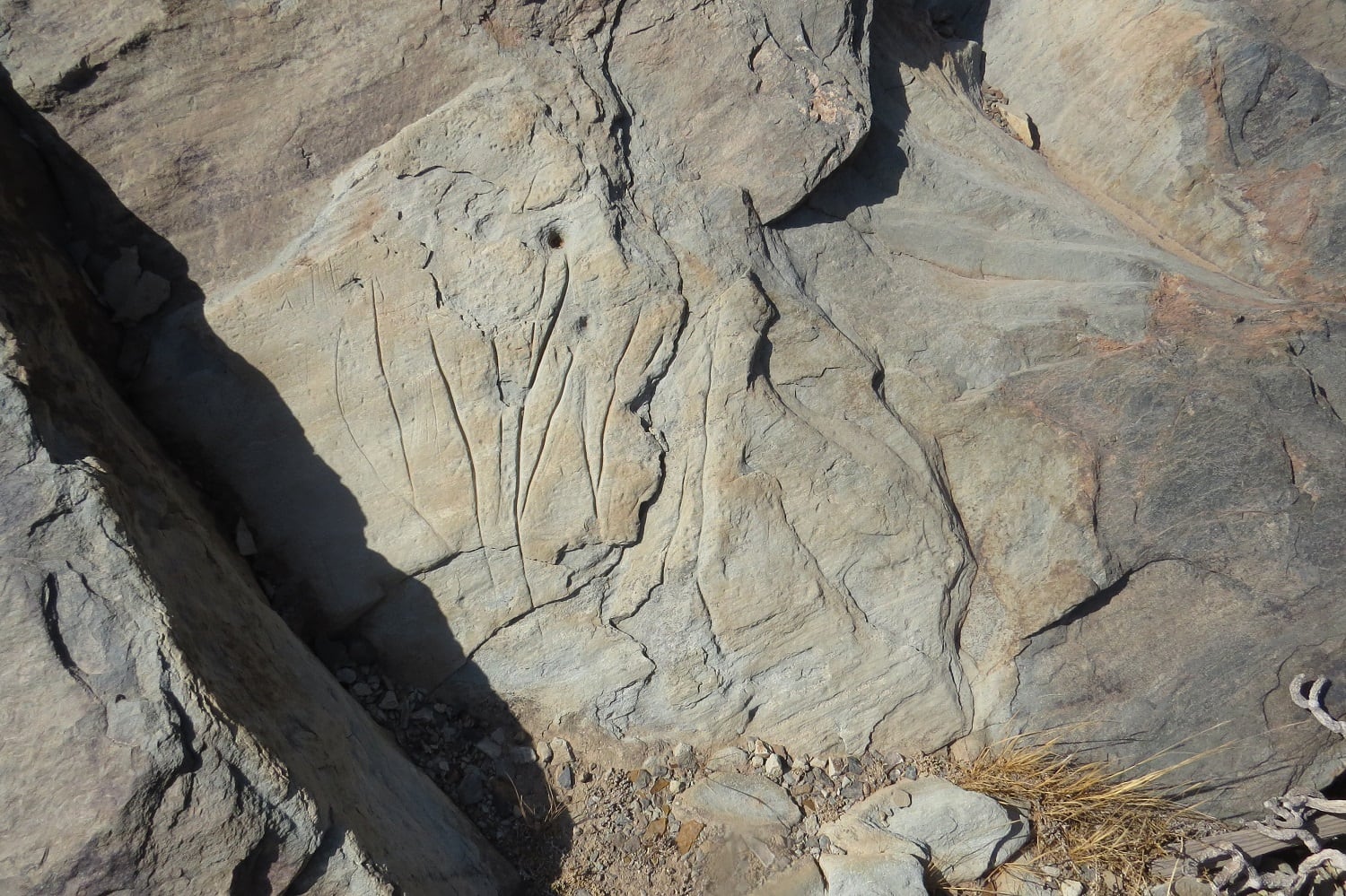 Yacimiento arqueológico en Amurga, Gran Canaria