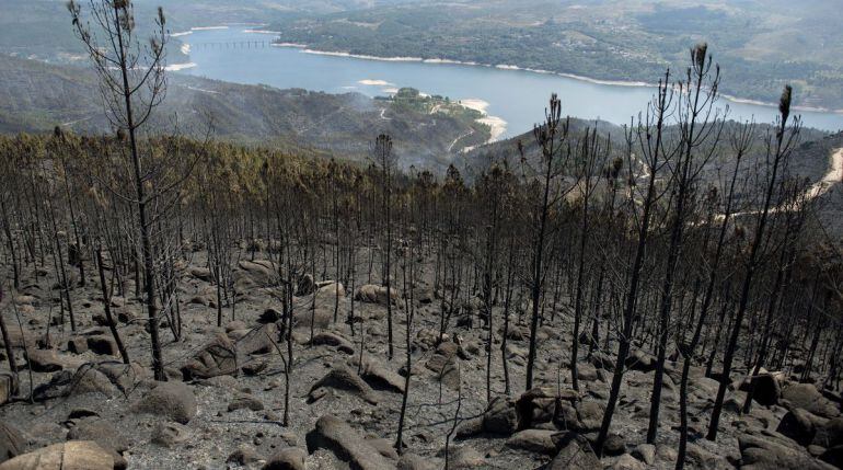 Superficie arrasada por el incendio de Entrimo que afectó a 3.000 hectáreas