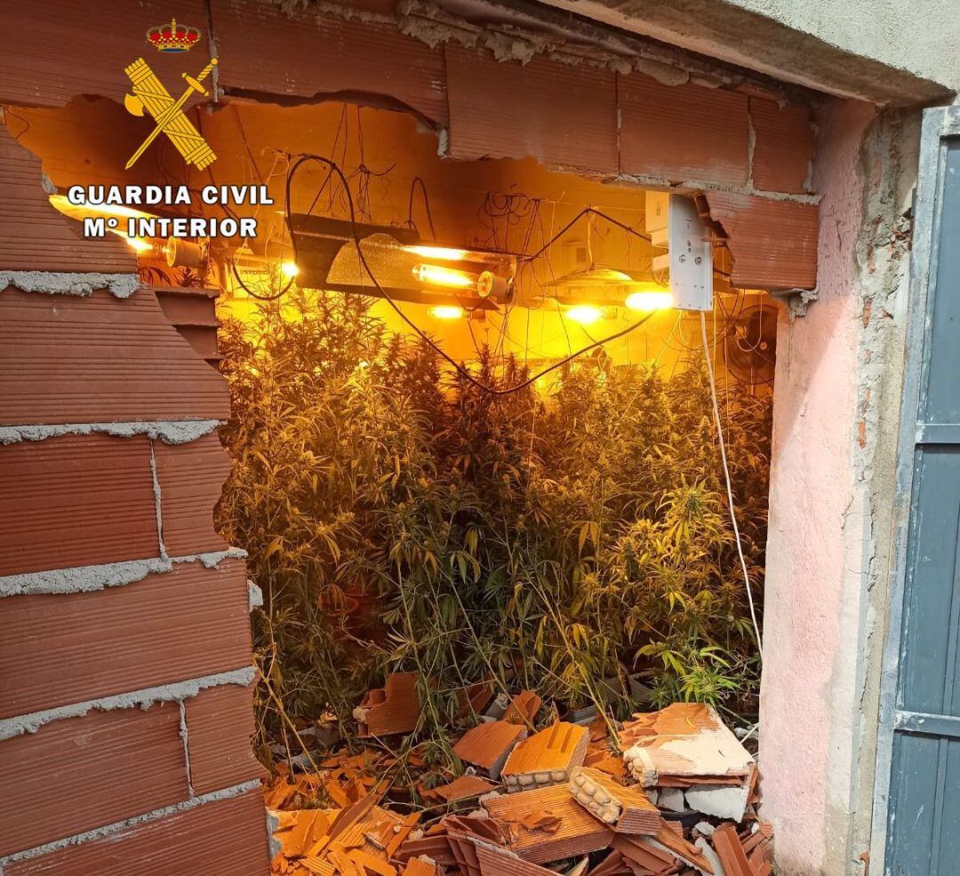 Imagen de la intervención de la Benemérita.