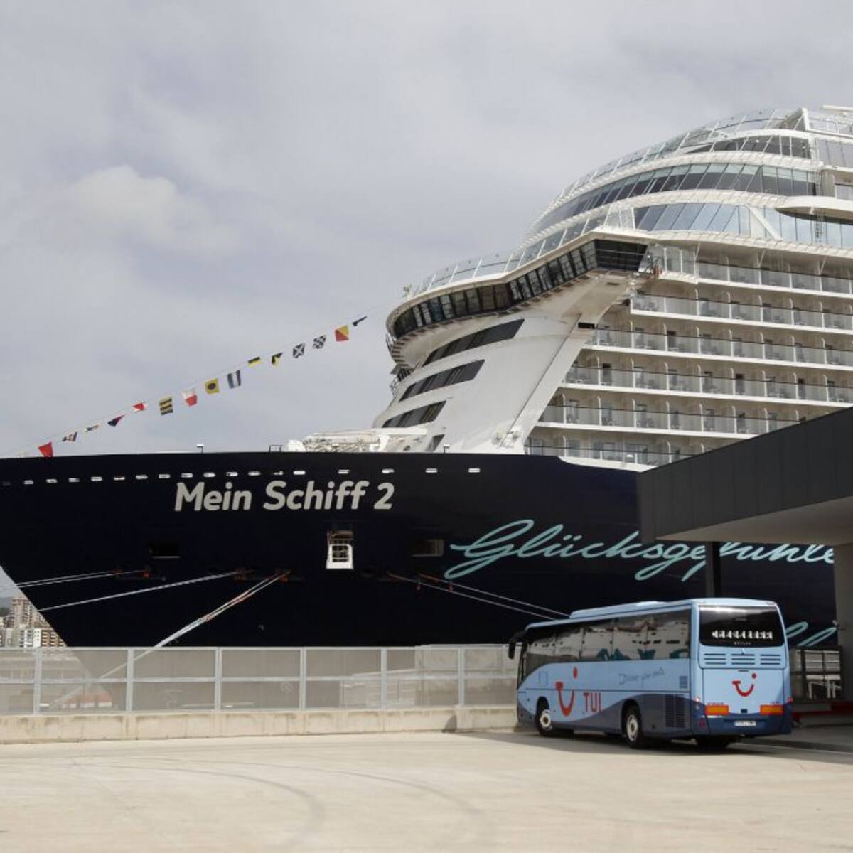 Piden una moratoria de cruceros hasta que se estudien "rigurosamente" sus impactos