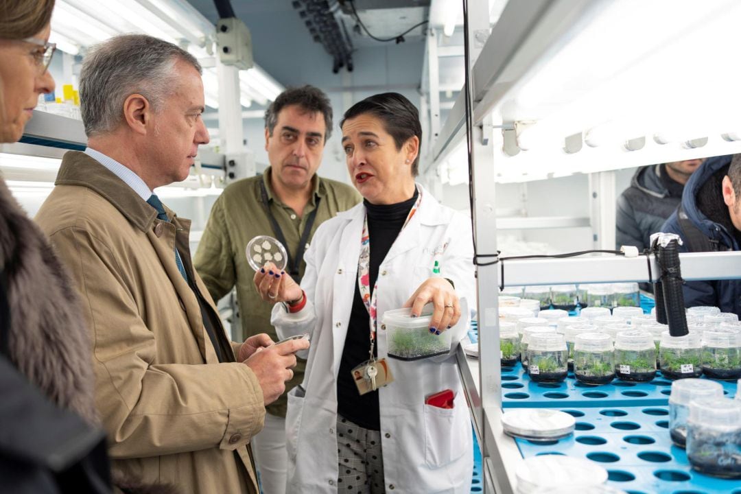 El lehendakari, Iñigo Urkullu durante la visita este miércoles a la sede del Instituto Vasco de Investigación y Desarrollo Agrario, Neiker, para conocer las nuevas instalaciones que permiten medir las emisiones de metano del ganado ovino, así como también el Laboratorio de Cultivo de Tejido. 