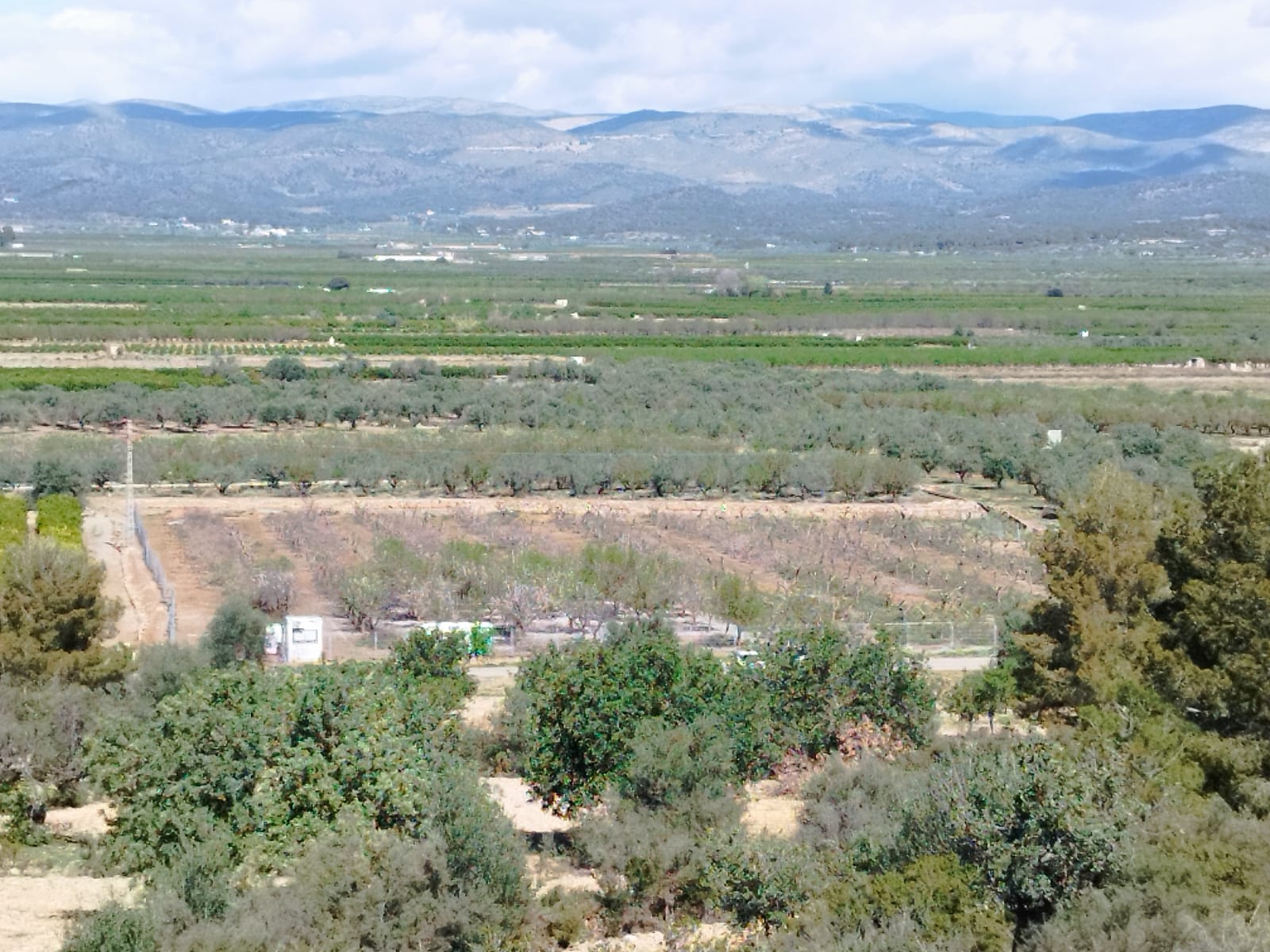 Entorno en el que se va a ubicar la macroplanta de biometano de Llíria