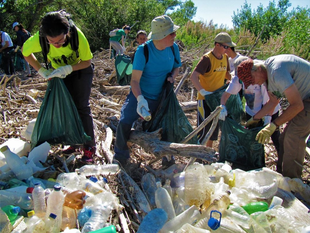 Campaña de recogida de plásticos en el Soto del Francés, cerca del barrio zaragozano de La Cartuja 